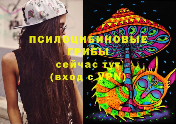 бошки Беломорск